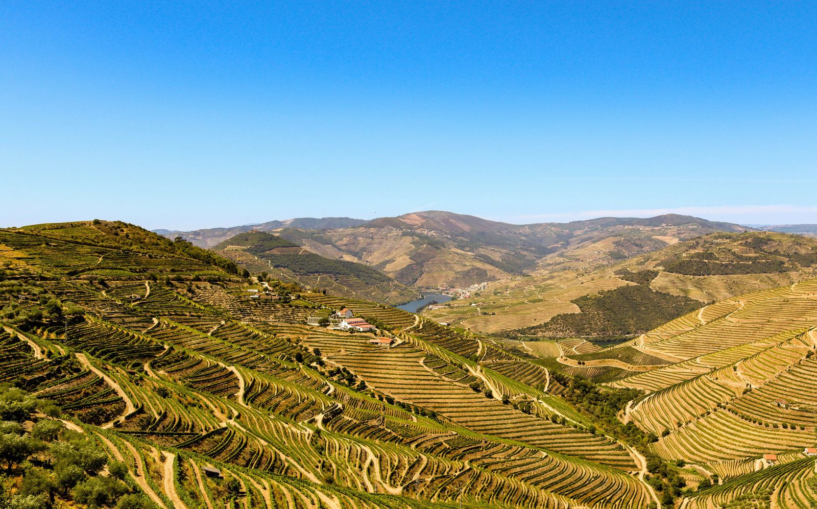 Douro-vallei, het gebied waar alle Port vandaan komt.