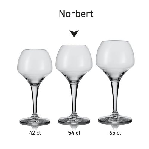 Serie bierglazen Norbert naast elkaar gepresenteerd met verschillende inhoudsmaten