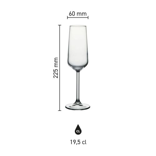 Overzichtsafbeelding met afmetingen van de Allegra champagneflute 19,5 cl., inclusief hoogte en inhoud.
