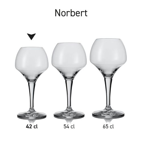 Overzicht van de Norbert bierglazen als serie, naast elkaar gepresenteerd in variaties.