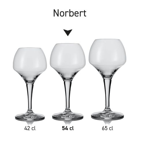 Norbert bierglazen als serie weergegeven, met verschillende inhoudsmaten naast elkaar.