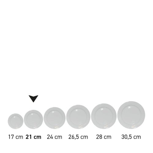 Serieafbeelding van porseleinen borden met brede rand als productoverzicht.