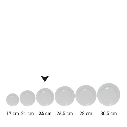 Reeks borden porselein in serie getoond met focus op grootte.
