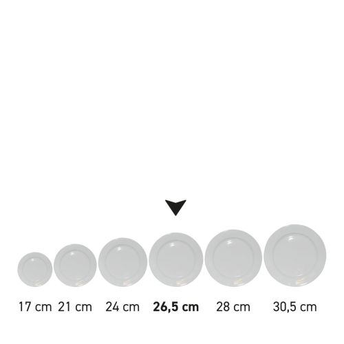 Serieafbeelding van borden brede rand van porselein, naast elkaar gepresenteerd.