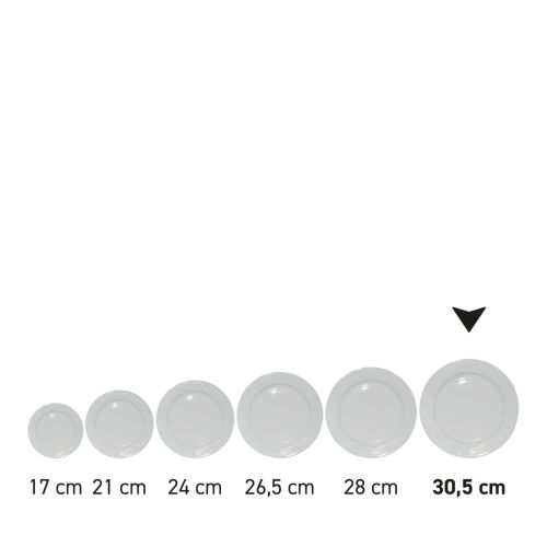 Serieafbeelding van borden met brede rand  in wit porselein.