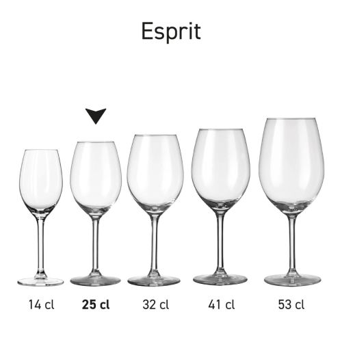 Seriebeeld met meerdere varianten van het Esprit glas  gepresenteerd als serie.