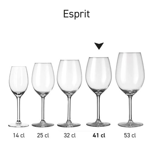 Rijtje Esprit wijnglazen uit dezelfde serie, overzichtelijk naast elkaar getoond inclusief inhoudsmaat.