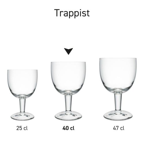 Serie van identieke Trappist glazen met verschillende maten opgesteld als visuele productpresentatie.